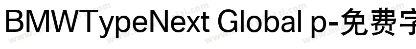 BMWTypeNext Global p字体转换